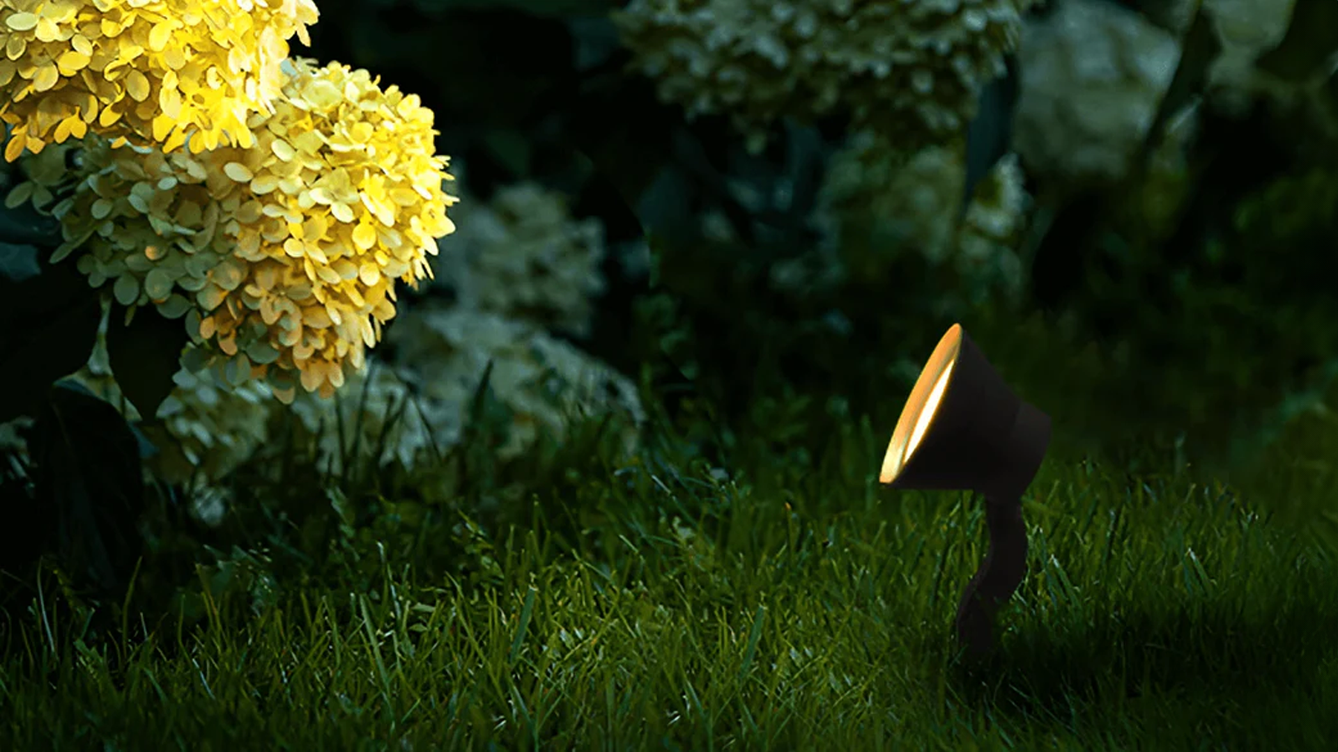 Spot Lights