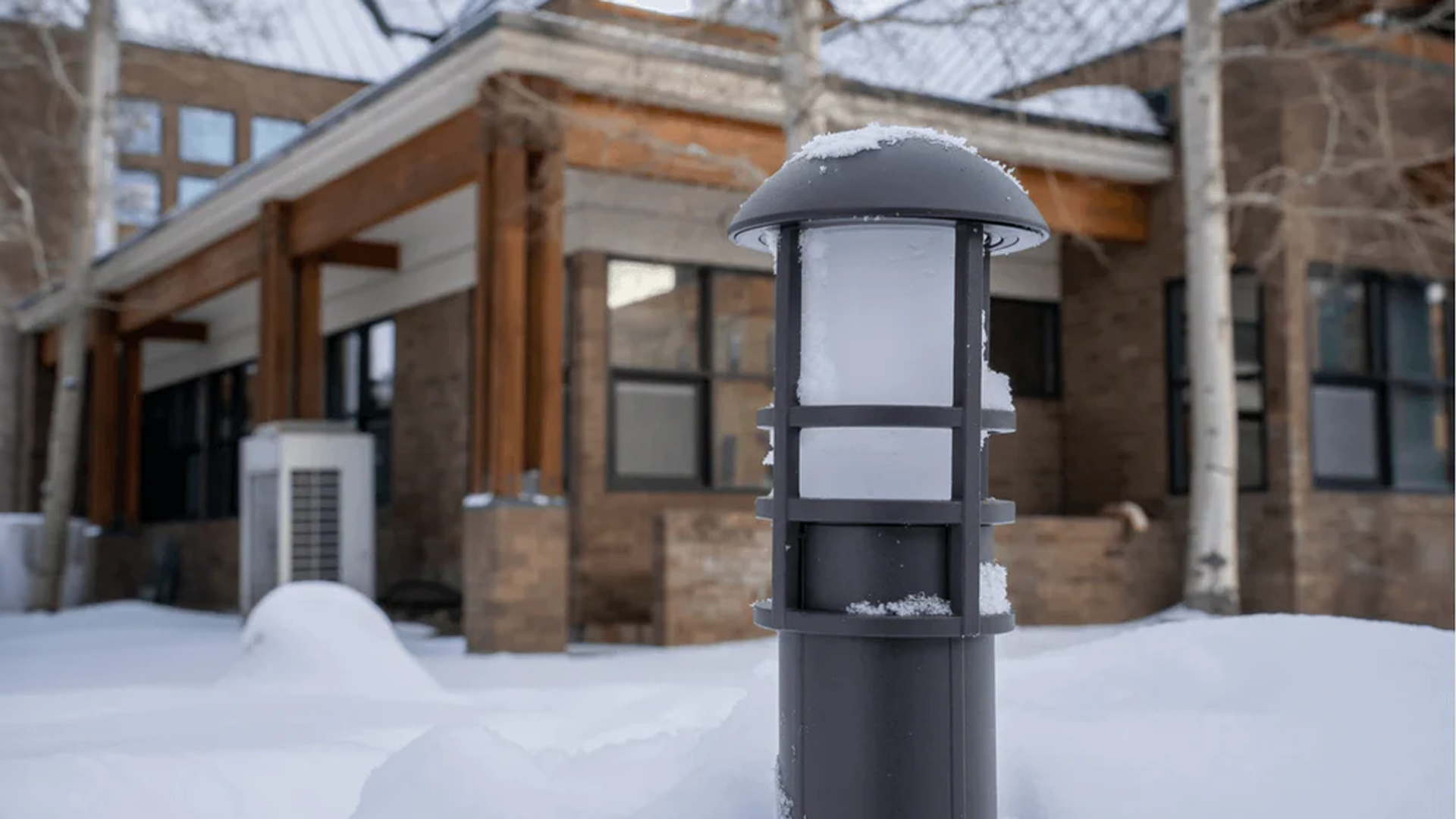 LeonLite Pathway Lights