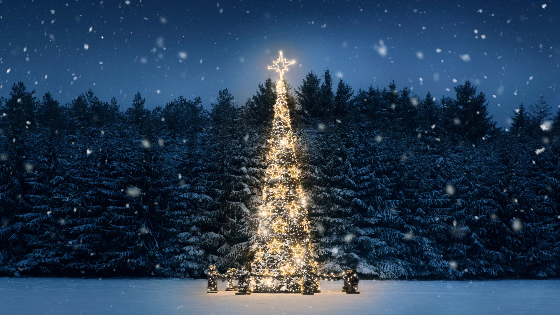 How To Brighten Your Holidays With Safety: Expert Tips On Christmas Light Installation And Maintenance