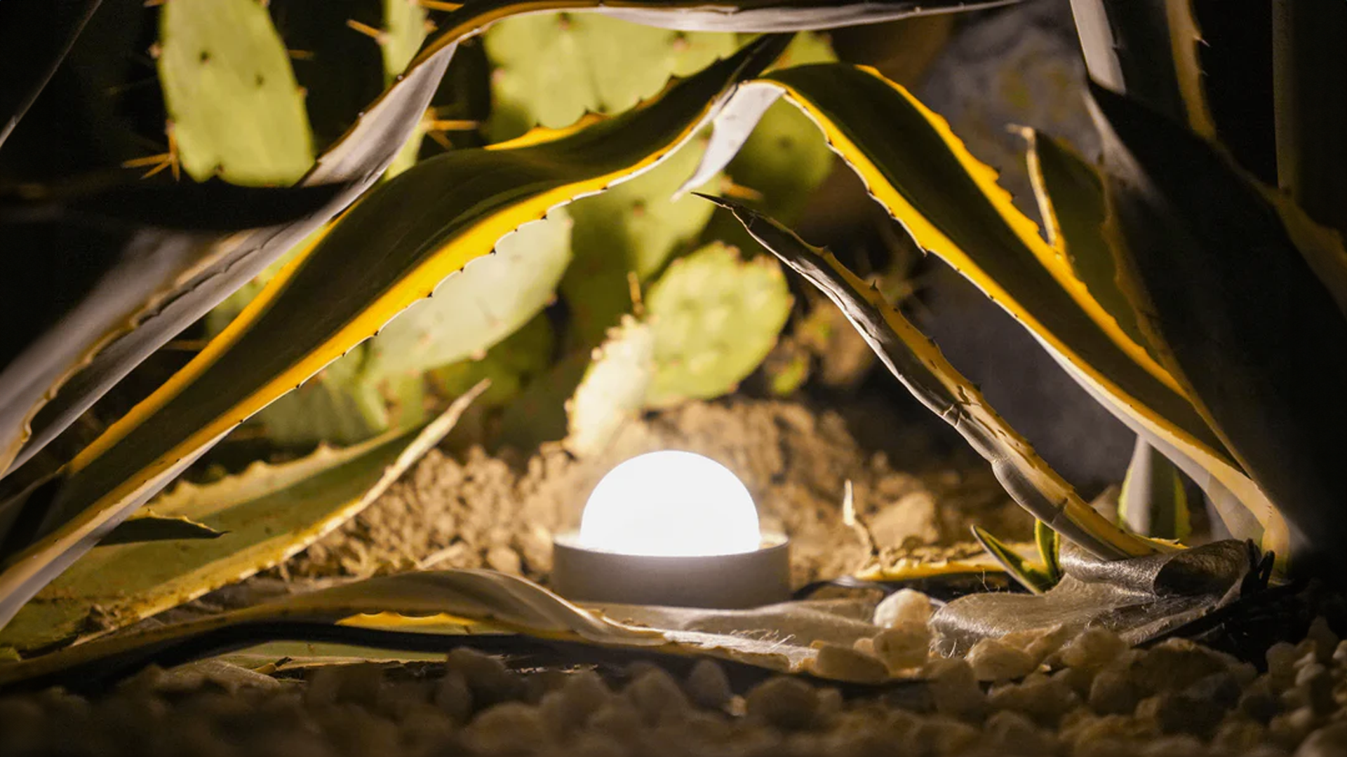How to Fix Dimmable LED Lights Flash and Flicker