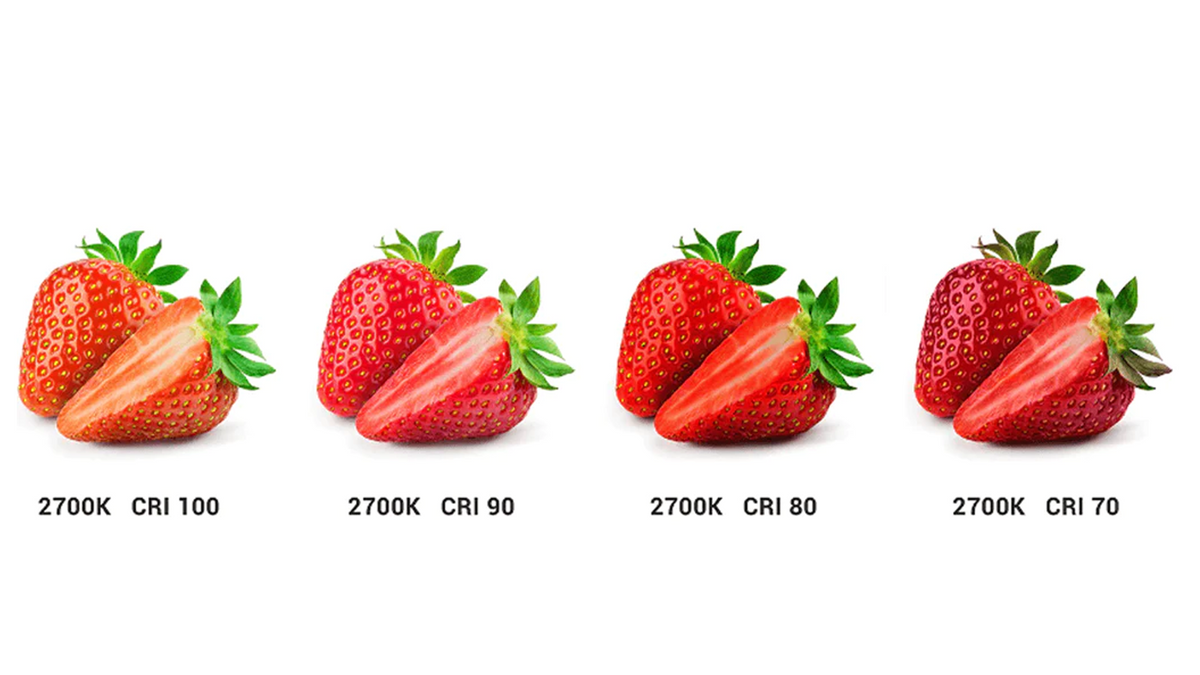 Color Temperature Cri What is the Importance of Correlated Color Temperature (CCT) and Color ...