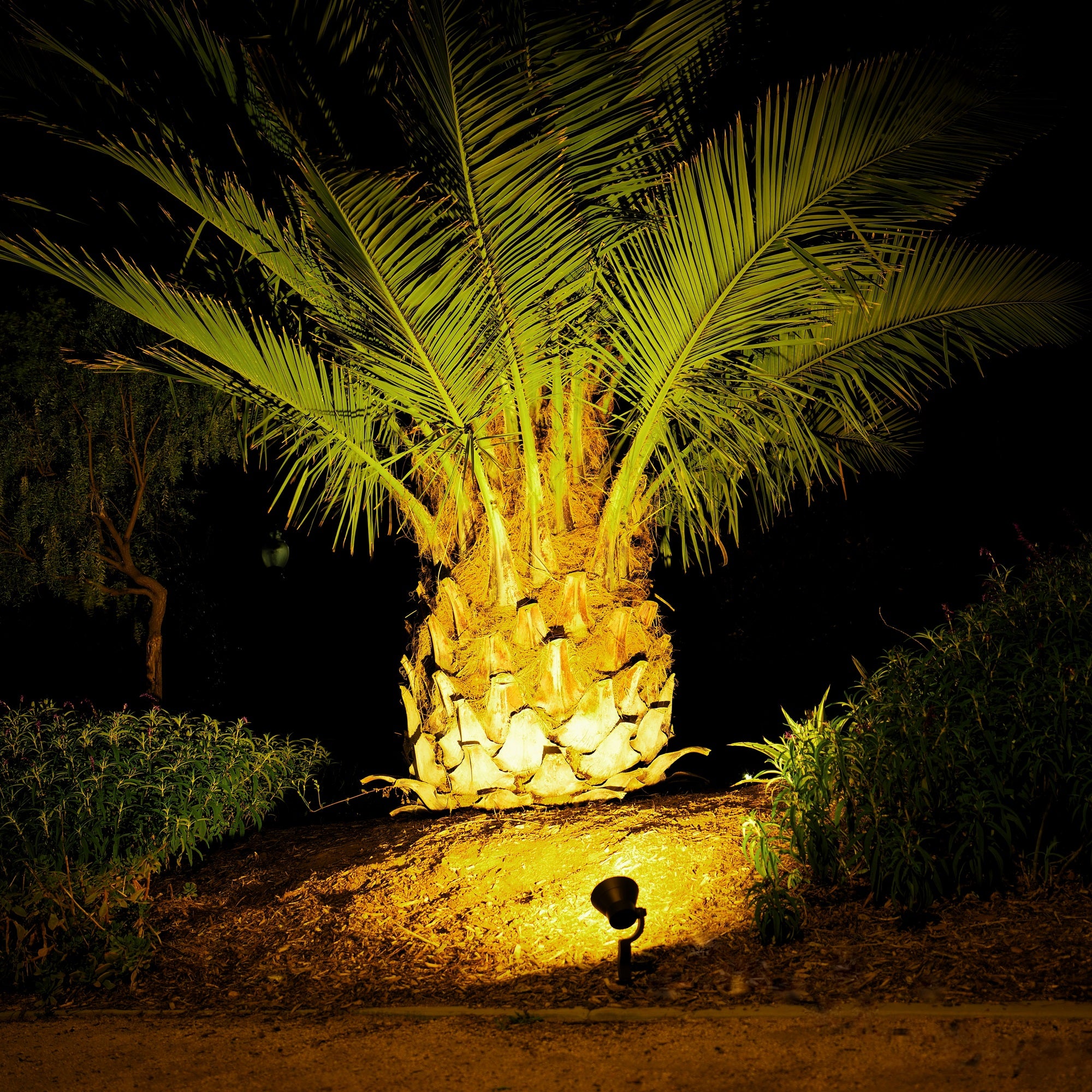 How and When Should I Use a Landscape Light Transformer?