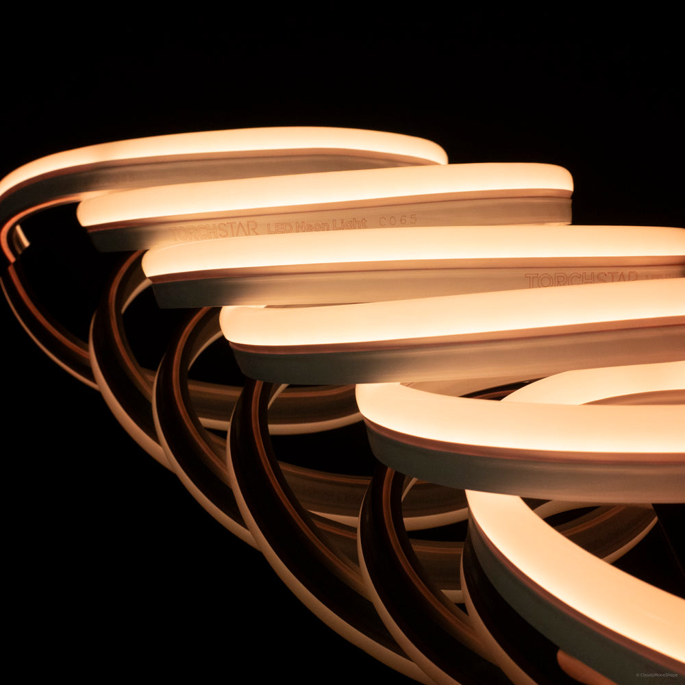 Pro 120V Neon Rope Light - RGB