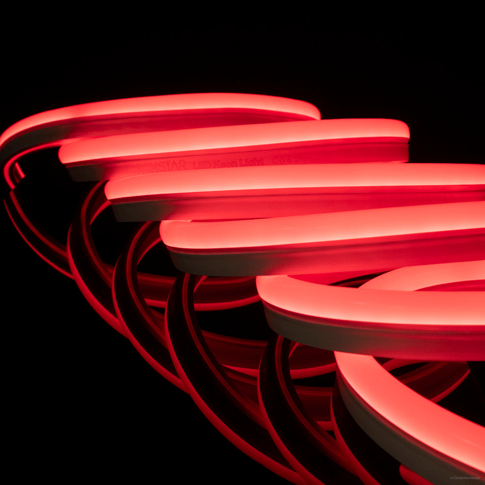 LeonLite® Pro 120V Neon Rope Light - Red
