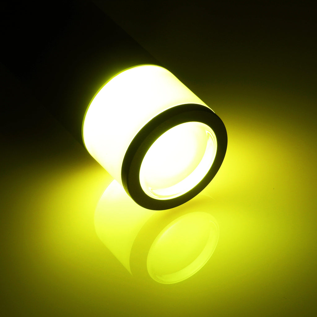 LeonLite® O-ring Colorato Path & Area Light - Smart Control with Your Phone - LeonLite